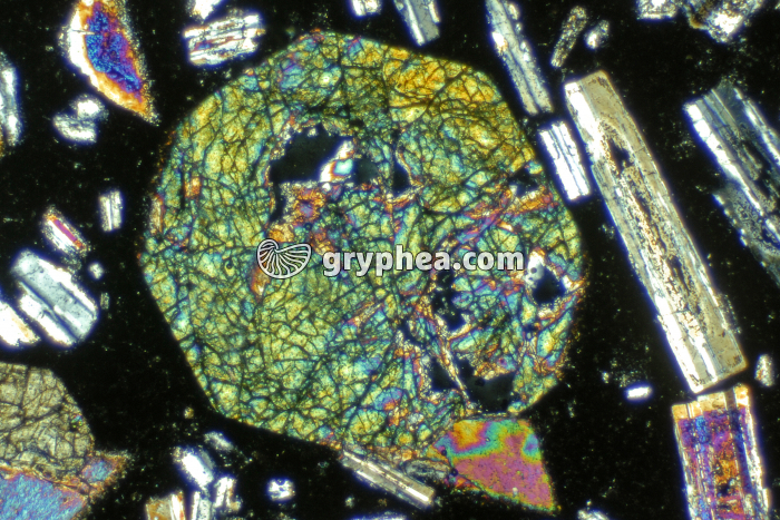 Pyroxène LPA x20 - gryphea.org